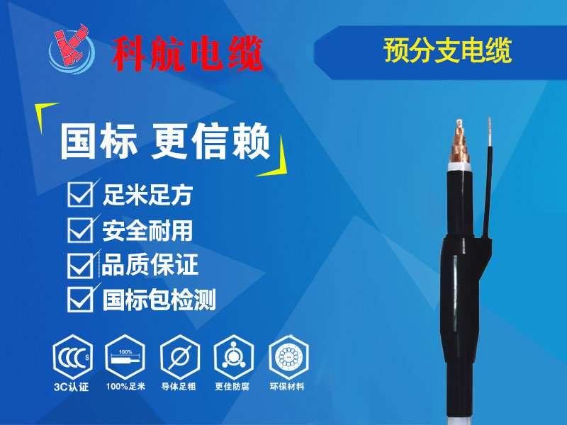 预分支电缆