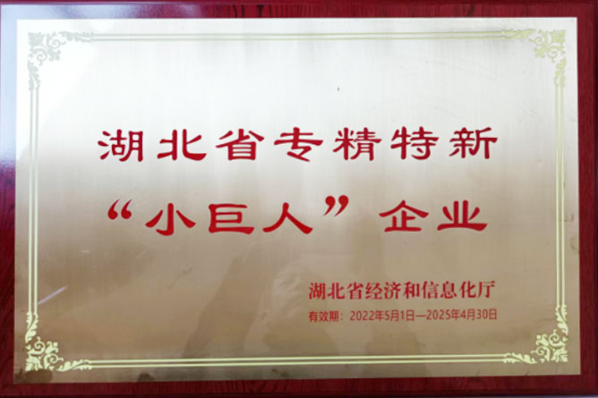 湖北省专精特新小巨人企业
